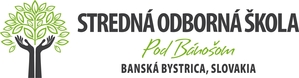 Stredna odborna skola